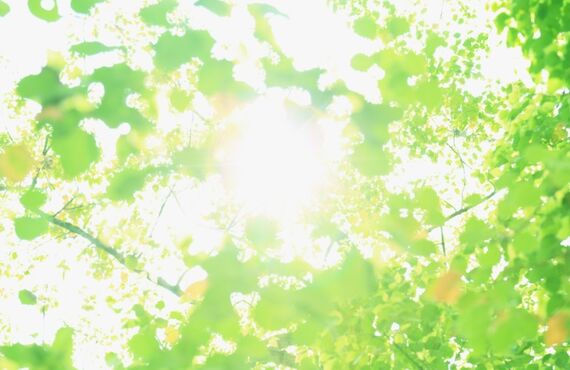 奈良市ですぐに親知らずの抜歯をしたい方【動画解説あり】