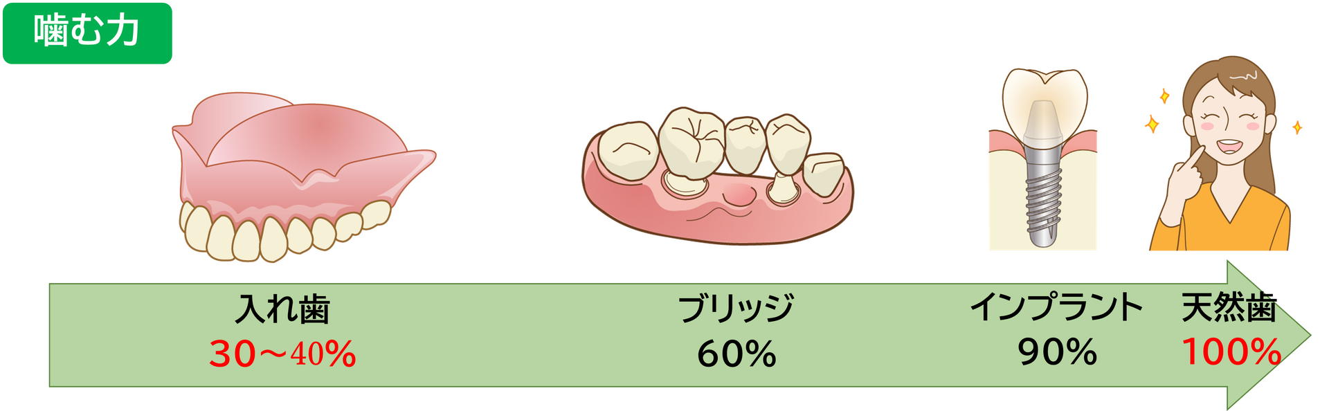 噛む力の図
