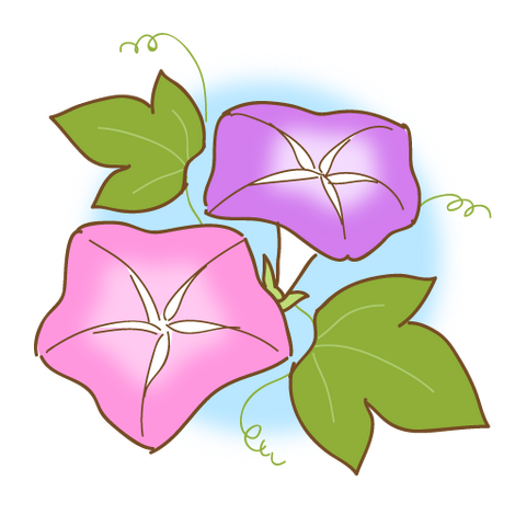 flower_asagao